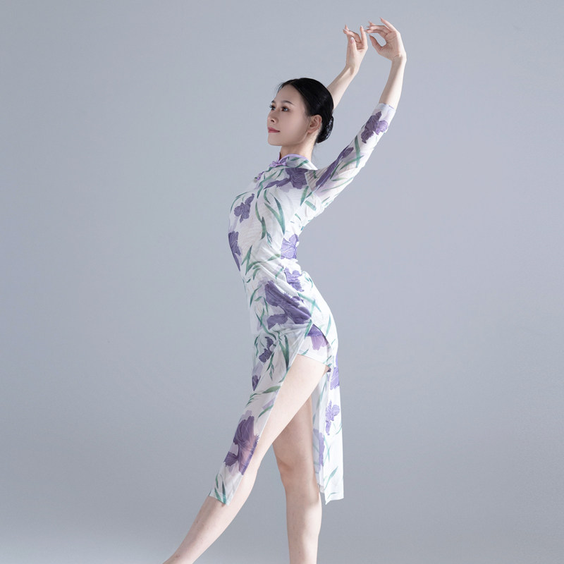 成人古典舞练功服旗袍舞蹈专用高弹印花优雅中国风舞蹈多情种服装