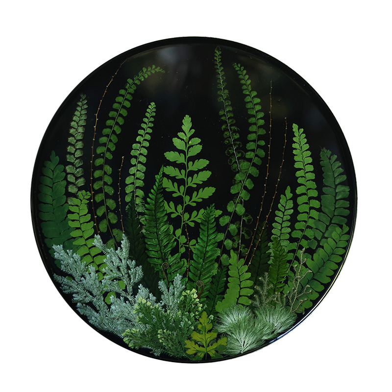 种籽造物漆息植物标本手作大漆茶盘非遗手工托盘摆件礼盒漆器礼物,淘宝优惠券,粉丝福利购,淘宝优惠卷