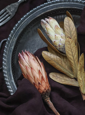 种籽侘寂北欧风结婚植物标本