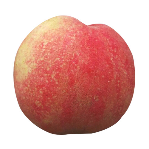 正宗兰州安宁白凤桃白粉桃水蜜桃甜桃新鲜水果现摘现发装顺丰空运 - 图2