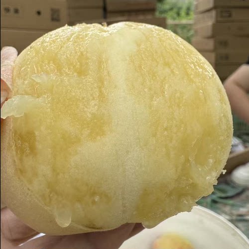 正宗兰州安宁白凤桃白粉桃水蜜桃甜桃新鲜水果现摘现发装顺丰空运 - 图3