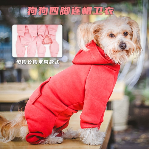 Осенняя одежда для собак.