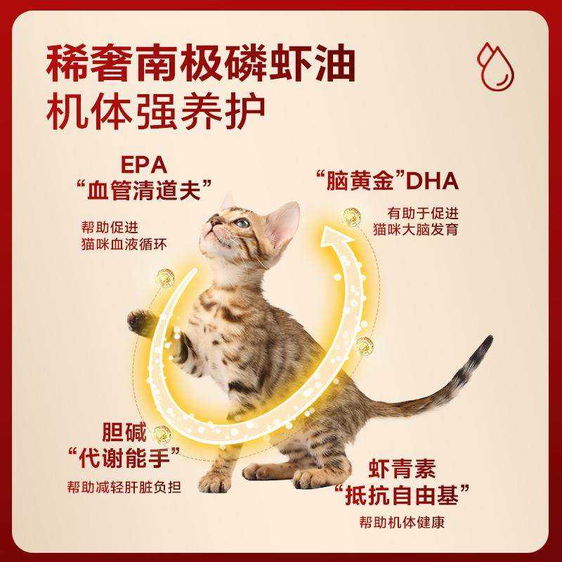 弗列加特阿克磷虾油高肉营养主食猫条成猫粮猫增肥湿粮美毛50支,淘宝优惠券,粉丝福利购,淘宝优惠卷