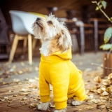 Осенняя одежда для собак.