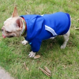 Fa Dou Dou Dog Dog Dog осень и зима