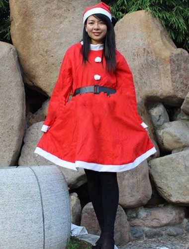 寻奇圣诞节衣服 女装 圣诞连衣裙 圣诞衣服服装 成人款女裙 - 图3