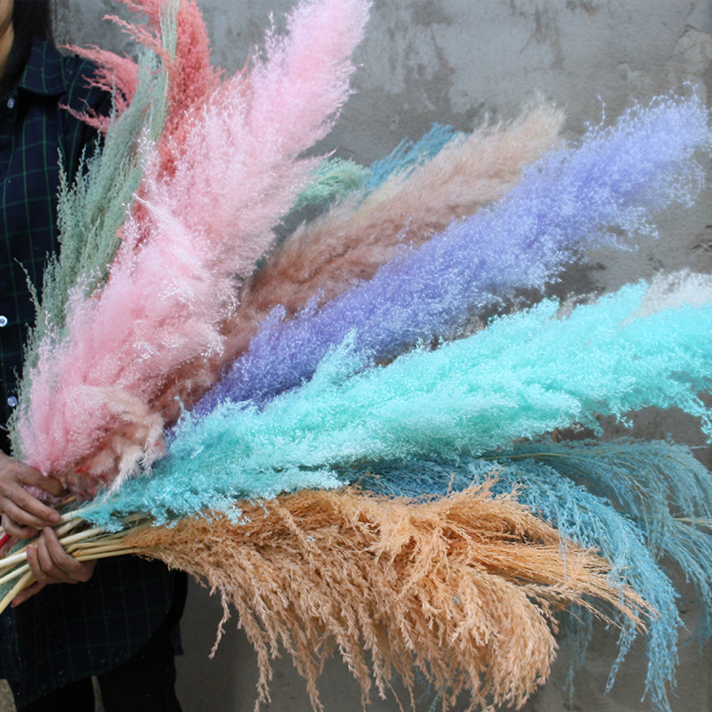 大芦苇干花长枝落地网红插花永生花服装店咖啡店橱窗摆设装饰造景,淘宝优惠券,粉丝福利购,淘宝优惠卷