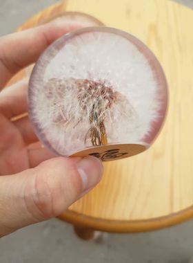 蒲公英标本立方体水晶摆件永生花