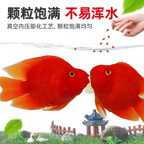 鹦鹉鱼饲料发财鱼鱼食地图观赏鱼热带鱼鱼粮鱼饲料红血鹦鹉鱼专用 - 图3