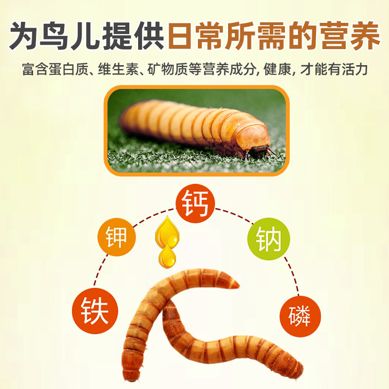 鸟食面包虫干玄凤鹦鹉八哥专用鸟粮画眉鸟鹩哥绣眼幼鸟斑鸠鸟饲料,淘宝优惠券,粉丝福利购,淘宝优惠卷