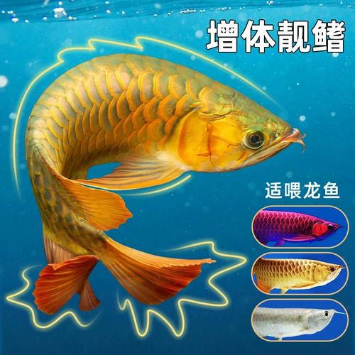 Derui Dragon Fish Feed Серебряная драконская рыба красный дракон -рыба золотой дракон рыба пищу крупные частицы тропические рыбы увеличивают красный цвет