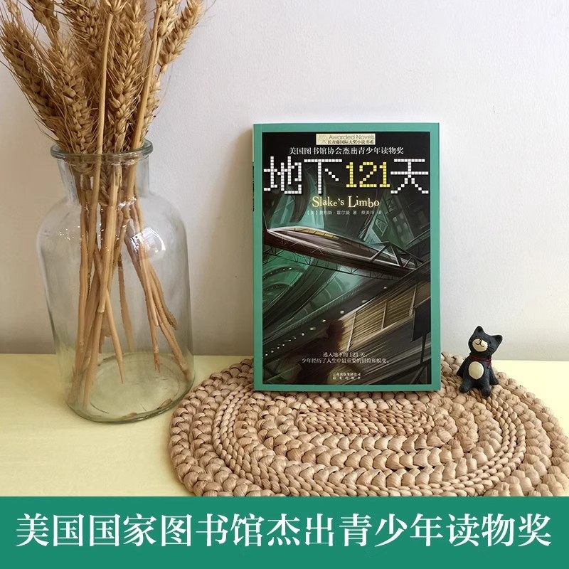 正版长青藤 大奖小说系列:地下121天 霍尔曼儿童文学故事书9-12-15岁四五六年级中小学生课外书籍青少年阅读物少儿励志图书,淘宝优惠券,粉丝福利购,淘宝优惠卷