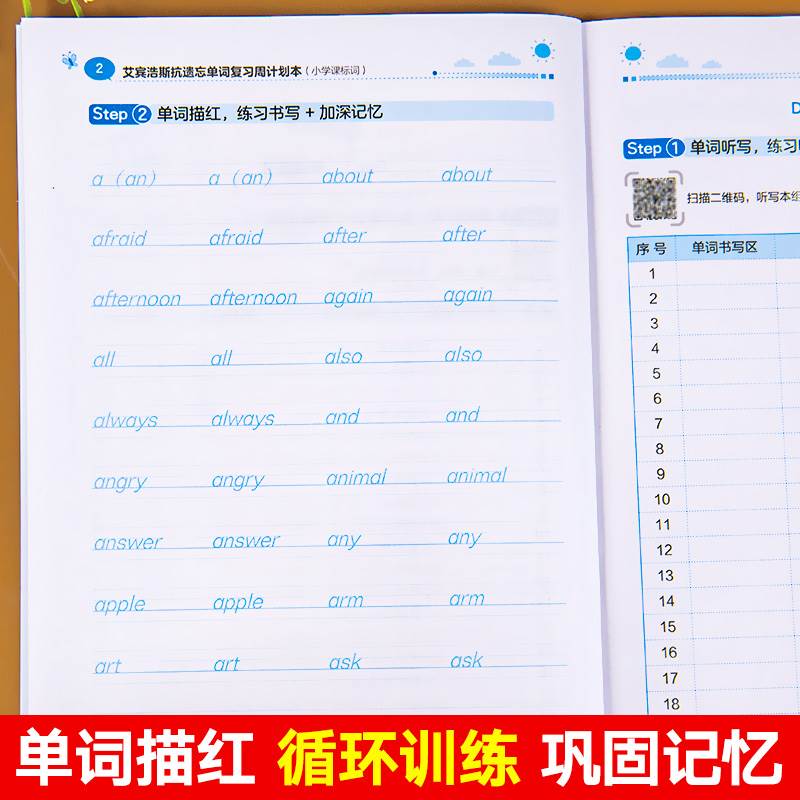 小学英语单词记背学习神器汇总表四维记忆法一二三年级四五六年级语法复习计划表背诵打卡艾宾浩斯遗忘曲线本7周速记快速记忆法-图3