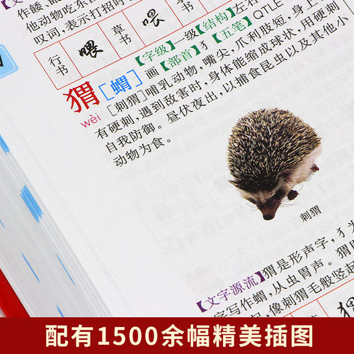 【现货正版】礼盒装新华大字典第3版大字本16开彩色汉语大全书商务印书馆初高中大学生成人常备字级结构笔画工具书汉语新华字典_虎窝淘