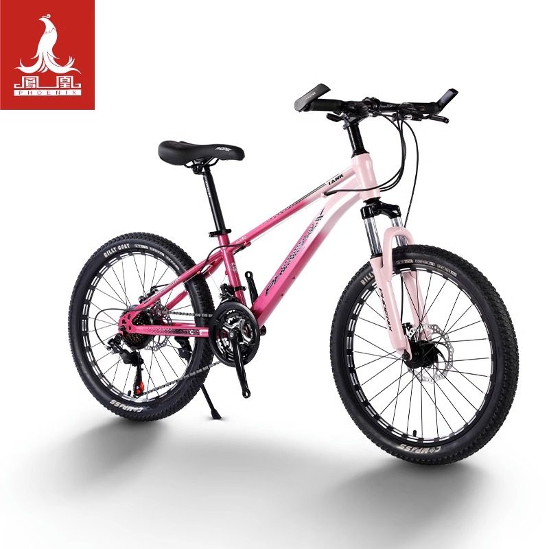 凤凰儿童自行车男孩6-8-15岁女孩变速中大童单车20寸小孩学生山地,淘宝优惠券,粉丝福利购,淘宝优惠卷