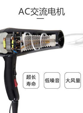 宸铭8815吹风机风大功率理发店速