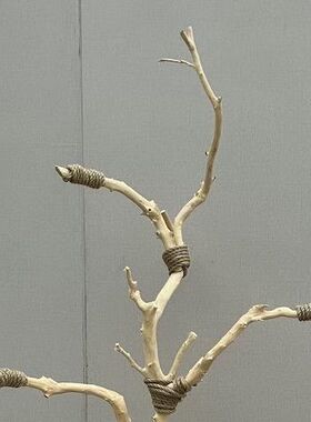 干树枝原木艺术造型枝摆设diy枯枝摆件室内装饰编织灯罩鹦鹉站架