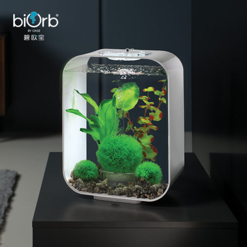 biorb亚克力小鱼缸客厅家用桌面轻奢水族箱小型免换水生态造景 - 图0