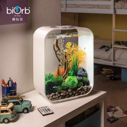 biorb亚克力小鱼缸客厅家用桌面轻奢水族箱小型免换水生态造景 - 图2