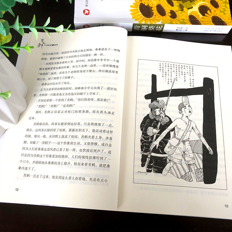 草房子+青铜葵花曹文轩正版书纯美小说系列儿童文学四五六年级小学生课外阅读必读书籍含根鸟山羊不吃天堂草北京少年儿童出版社_虎窝淘