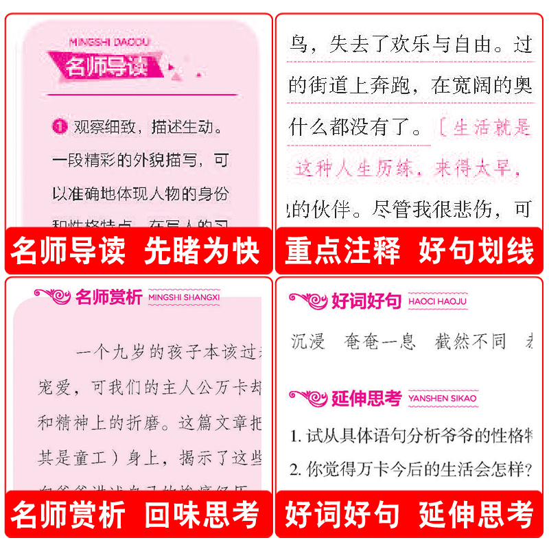 【39.8元任选4本】秘密花园书籍经典名著小学生四年级五年级的六年级四五儿童版课外课外阅读4-5-6年级必读伯内特原著全套读物dj-图2