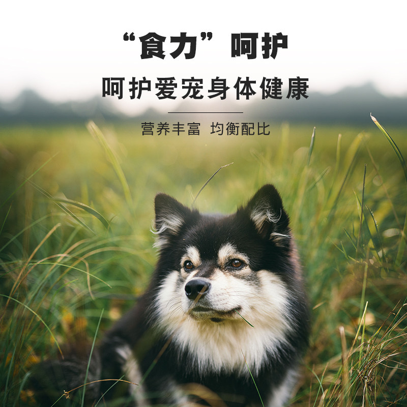 麦富迪乖宝乐成20kg40斤牛肉+狗粮 睿智永盛宠物用品犬主粮