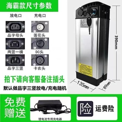 36V48v15AH电动车锂电池银鱼款爱玛富士达邦德科讯睦商喜德盛 - 图0