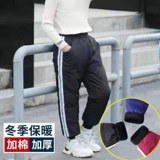 犷 犷 女 女    笸 笸 笸 蘩 蘩 Хлопковые брюки установлены 2021 Новый
