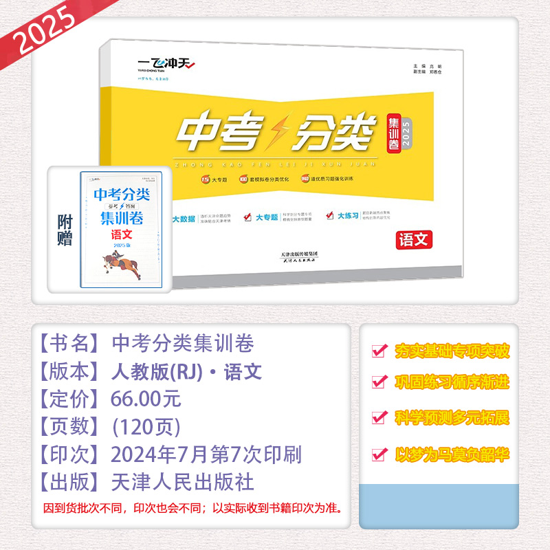 2025新版现货一飞冲天中考分类集训卷语文数学英语物理化学历史道德与法治政治天津中考专项初中初三九年级语数英物化真题试题训练