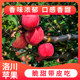 Authentic Luochuan apple straight hair