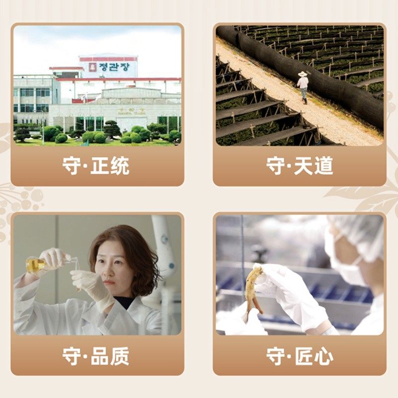 韩国正官庄良参40支600g高丽原支参 正官庄高丽参及其制品