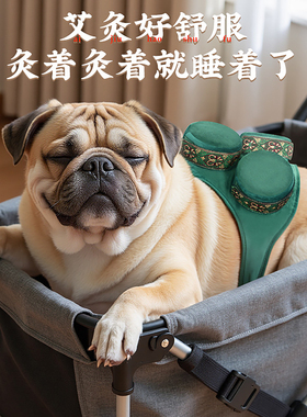 狗狗猫咪通用宠物艾灸包