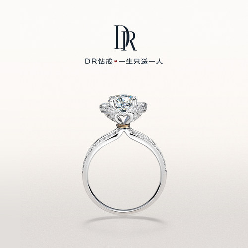 DRLOVE LINE奢华款求婚钻戒一克拉钻石戒指官方旗舰店正品WJ0399 - 图0
