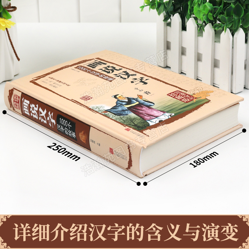 精装画说汉字1000个汉字的故事说文解字许慎汉字的演变过程精辟图说展示汉字在的使用状况语言文字书小学版1 2年级细说汉字的故事 忆美时尚