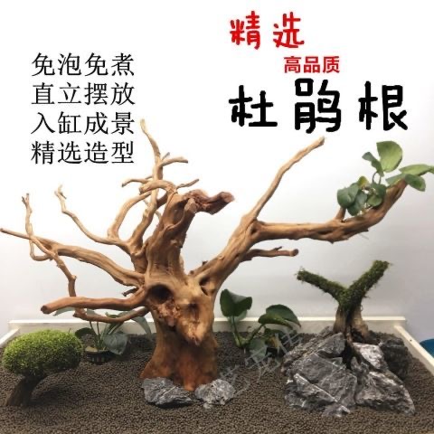 沉木紫柚木杜鹃根流木虾龟鱼插花鱼缸水草造景微景观根雕摆件晒台 - 图1