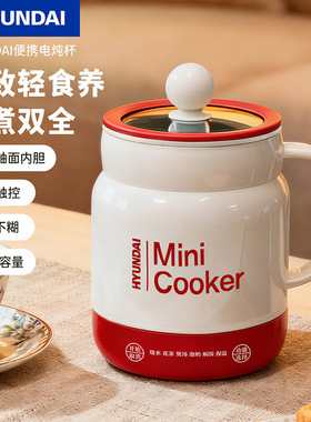 0.8L迷你电炖杯冲奶泡茶