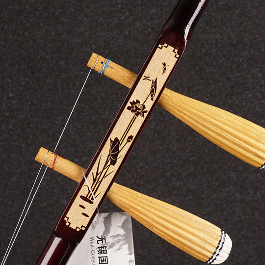 国悦苏州二胡乐器初学者入门考级演奏成人儿童红木二胡铜轴机械轴