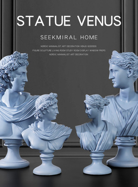 人物维纳斯头像素描艺术风装饰品