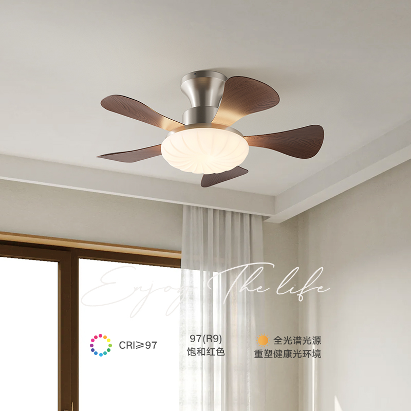 索燕新款风扇灯中古风新中式护眼静音家用吸顶灯客厅卧室餐厅吊扇 - 图0