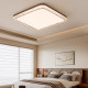 Suoyanzhong antique style ceiling lamp living room lamp eye protection