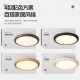 New Puri lamp bead eye protection leafless ceiling fan lamp