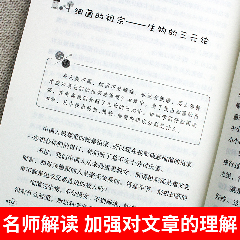 青铜葵花曹文轩正版四年级下册必读书目草房子小英雄雨来细菌世界历险记宝葫芦的秘密小学生课外阅读书籍全集四五六年级快乐读书吧 - 图2