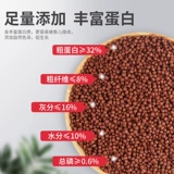 Sensen с высоким содержанием белкового цвета увеличивает кровь попугайку, попугай, рыба, рыба, рыба, тропическая рыба