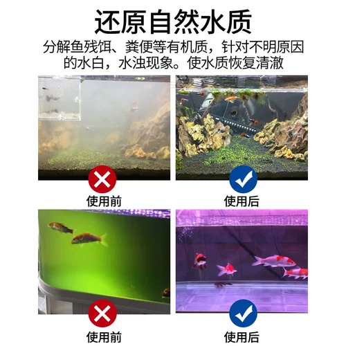 Сенсен концентрированные нитрифицирующие бактерии пищеварение бактериальная рыба аквариумный аквариум пуритер рыбной ферма поставляется. Стабилизатор качества лекарств.