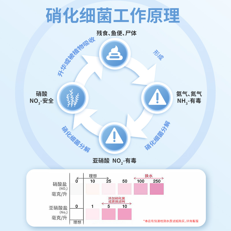 森森硝化细菌鱼缸专用胶囊净水活菌干粉养鱼鱼药水族消化细菌鱼用 - 图2