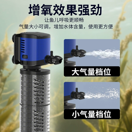 Аквариум, мундштук, оборудование, «три в одном», дайвинг