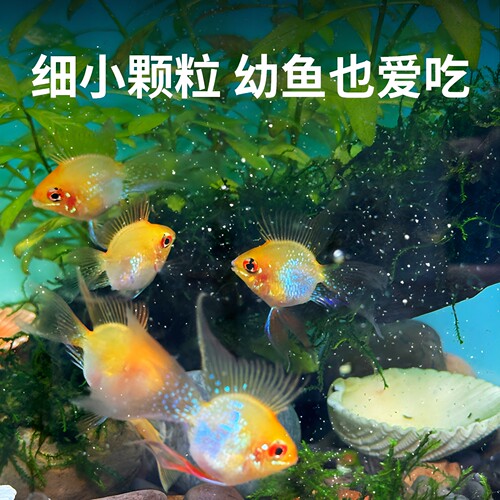 森森幼鱼小型鱼开口鱼食丰年虾卵孔雀鱼免孵化斑马彩群脱壳饲料-图1