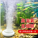 Моронановая газовая пузырьковая пластина рыбная бак кислородная пена каменного каменного кислорода.