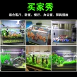 Sensen Goldfish Tank Маленький аквариум ультра -белый стеклянный