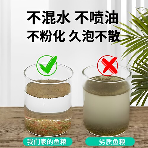 森森孔雀鱼饲料鱼食小颗粒热带鱼饲料 观赏小型鱼饲料灯科鱼鱼粮 - 图2